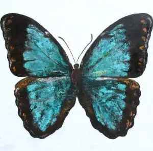 butterflies-1