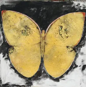butterflies-10