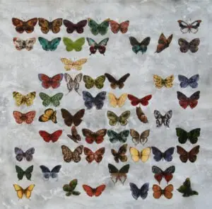 butterflies-11