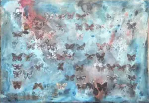butterflies-13