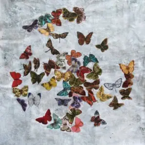 butterflies-14