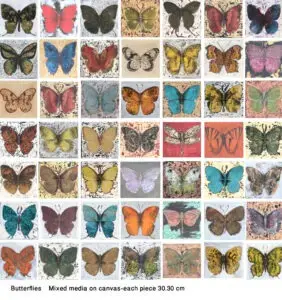 butterflies-17