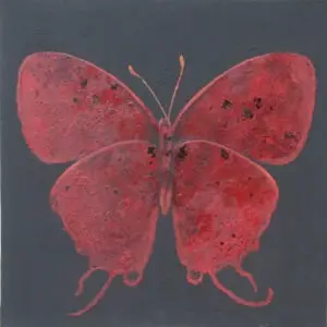 butterflies-8