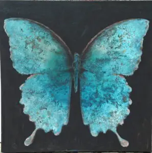 butterflies-9