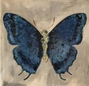 butterflies1-11