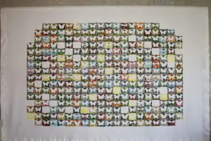butterflies7-1